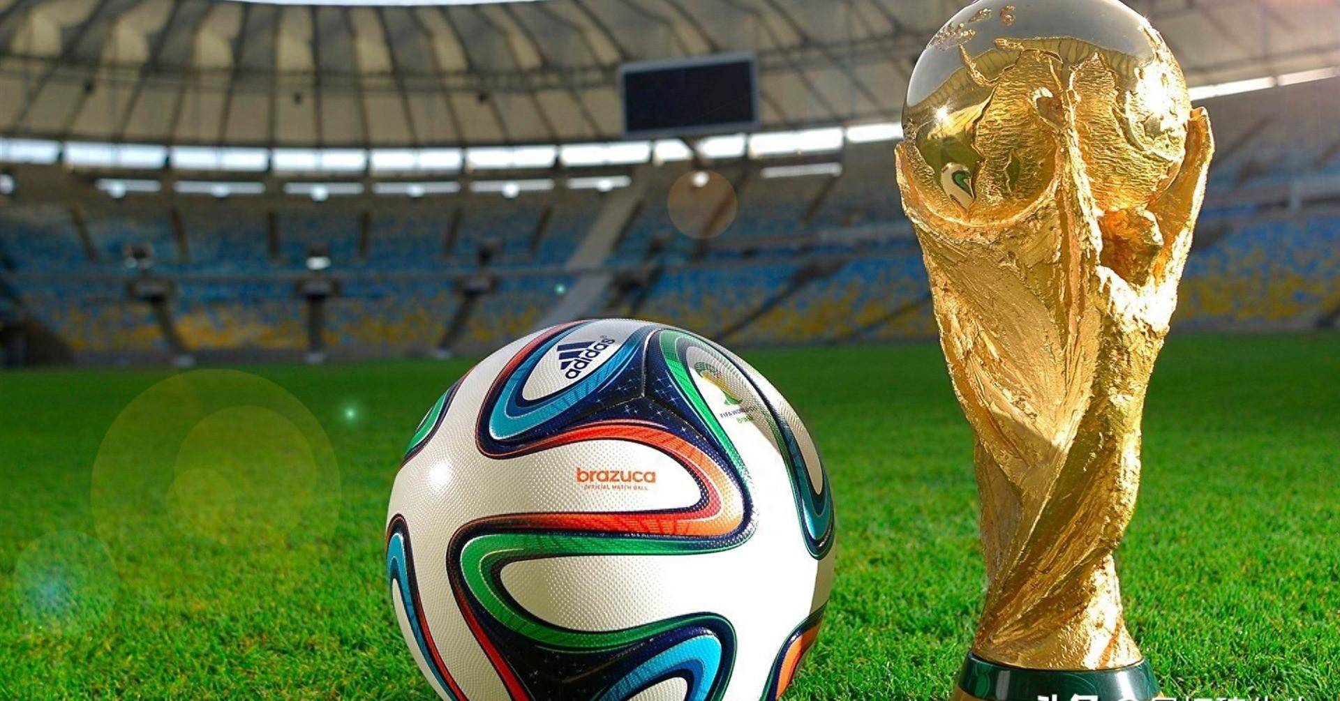 为上海海港 为上海海港